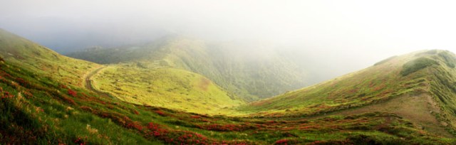 Sunrise in the Flowering Valley