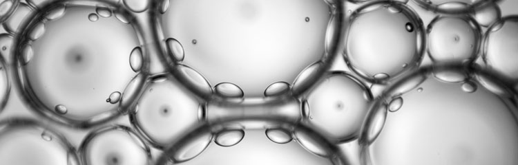 View Under a Microscope